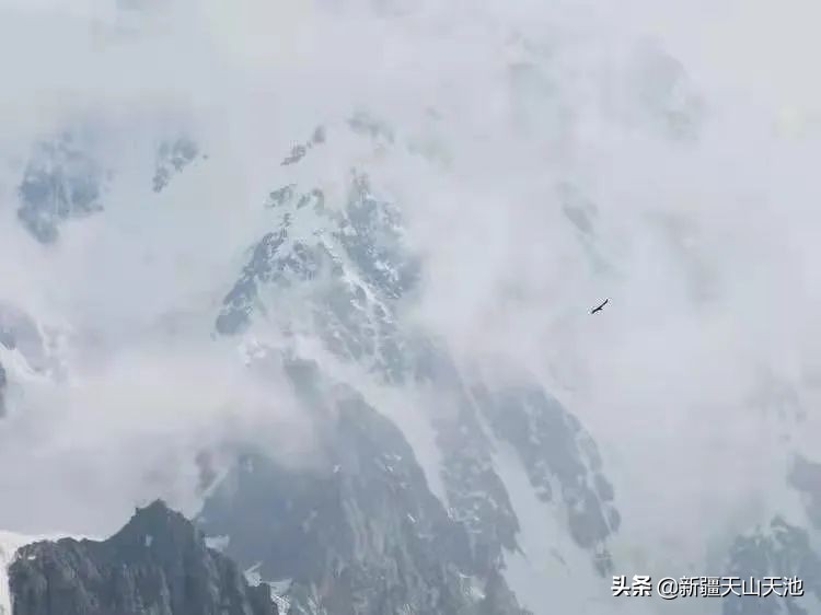 博格达天山,天山博格达雪峰