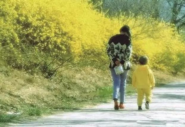 马航失联有多少人拿到赔偿,马航失联人员赔了多少钱