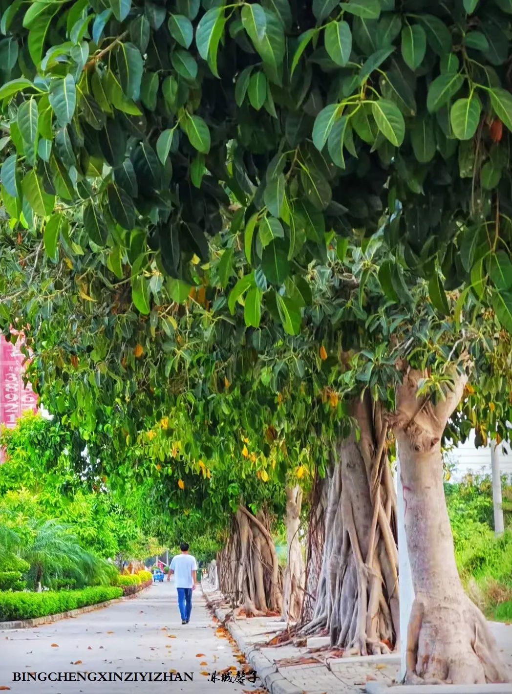 旅居海南,旅居式旅游生活海南