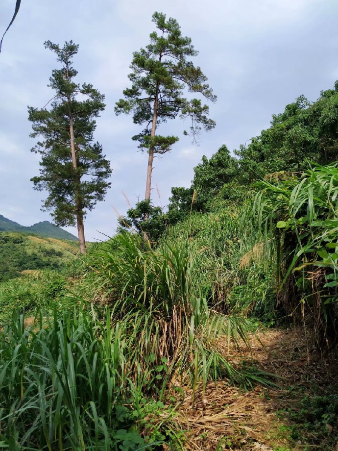 郴乐古道之水头江宜乐古道--广东省乐昌市庆云镇
