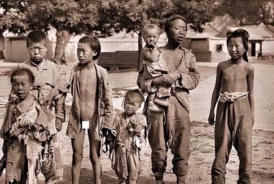 痛心的技术泄密：英国*子骗**从中国偷走两种树苗，中国损失百亿纹银