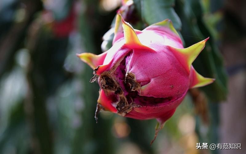 19岁女大学生深夜做“生意”,一年替父还债200万,成千万富婆