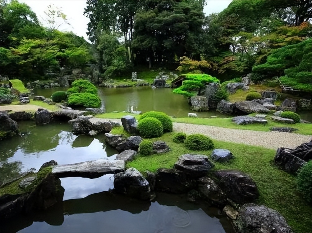 日本枯山水景观,日本枯山水中的树是什么树