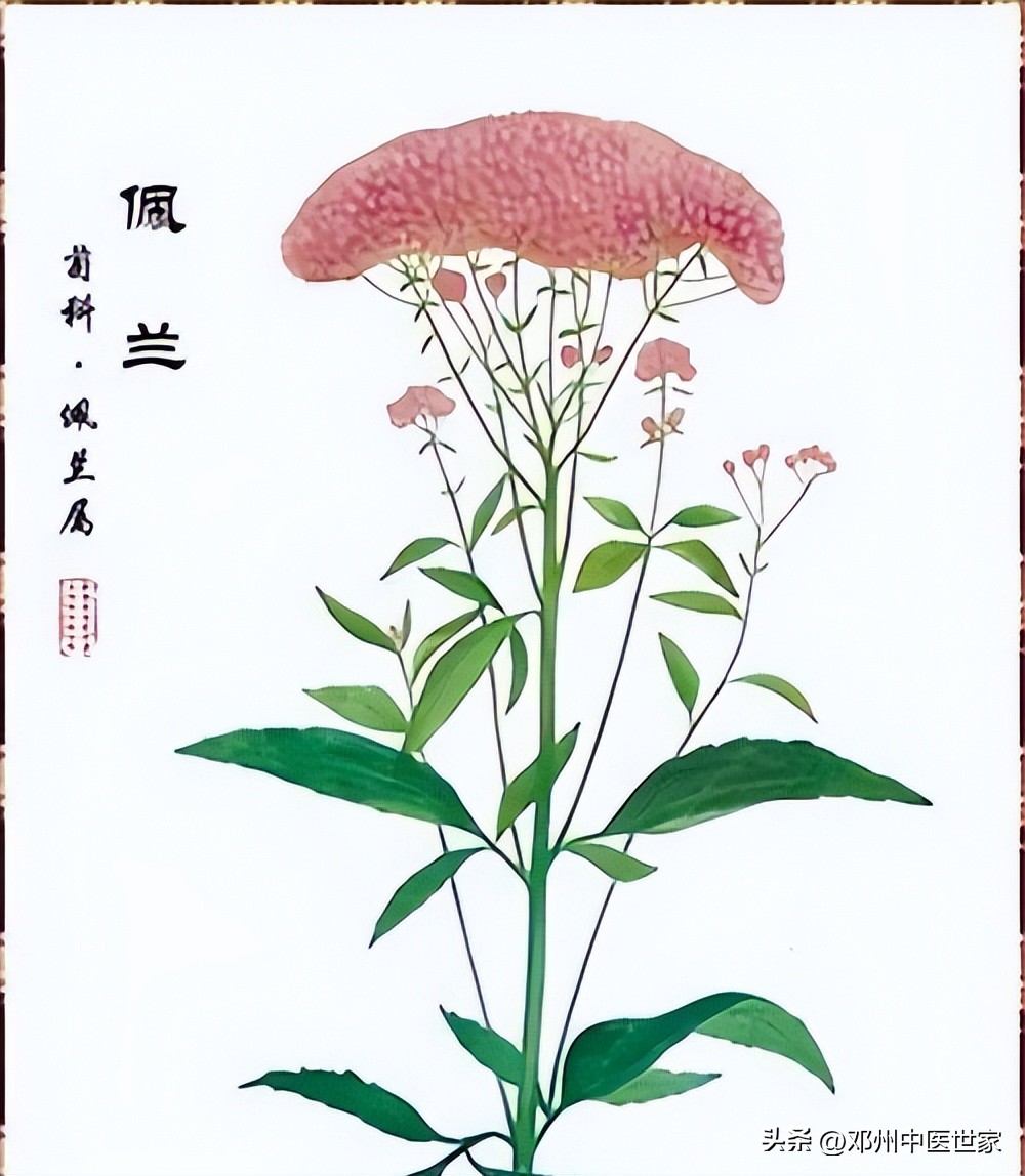 口苦口臭爱放屁的原因和治疗方法,口臭不知道是什么原因怎么治疗