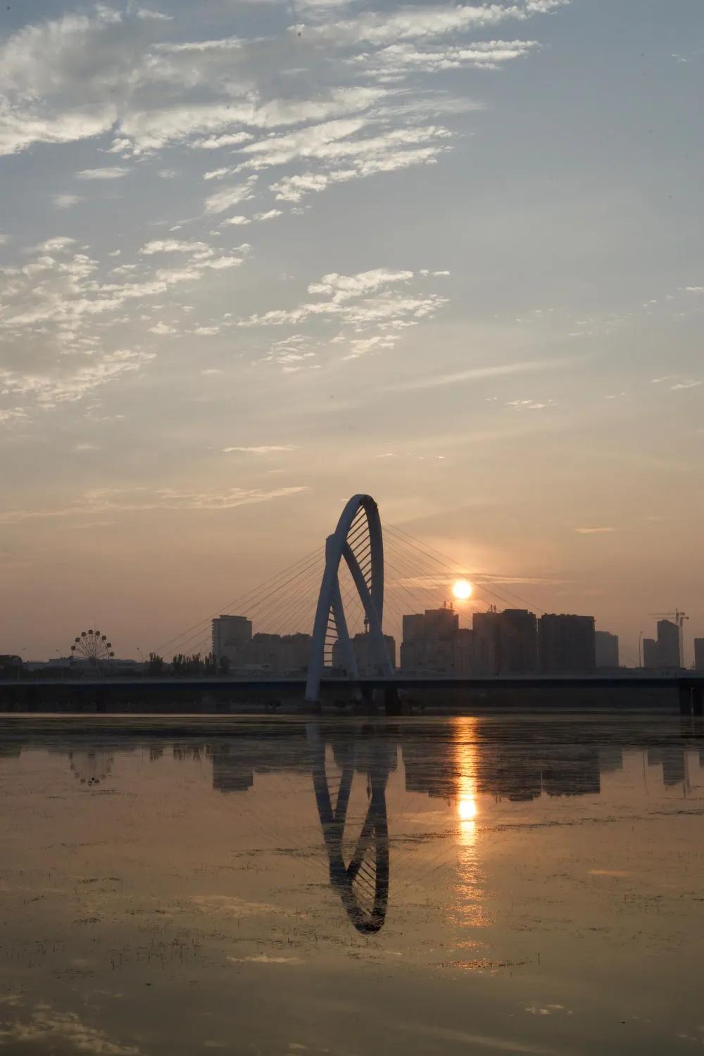 辽宁锦州市凌河区蛋糕店,辽宁锦州市凌河区宠物用品批发