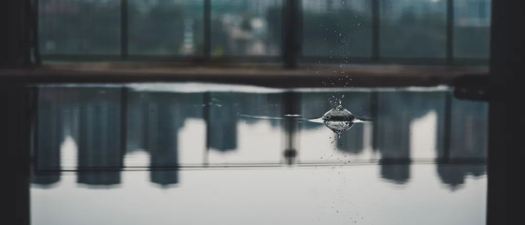 尼康z6ii24-50拍摄效果,尼康z6ii定焦镜头推荐