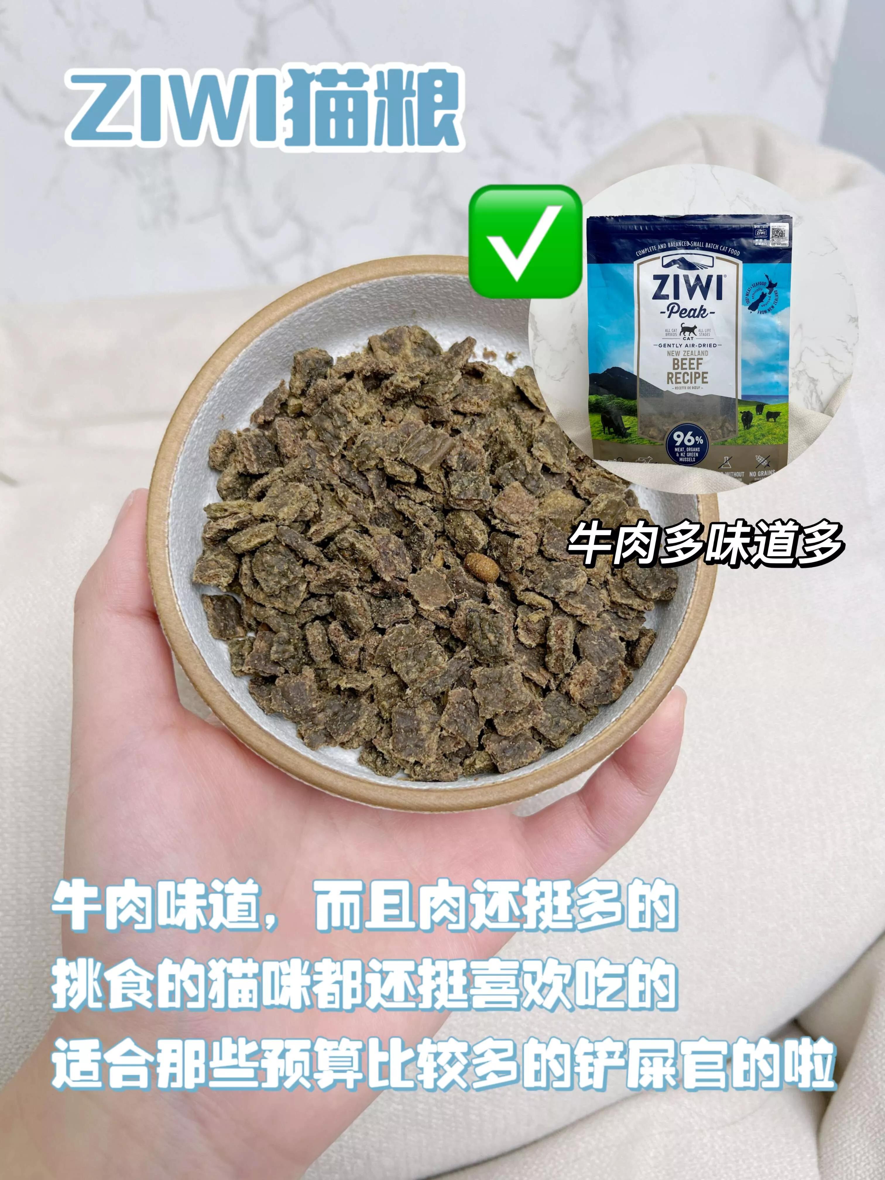 宠物店工作四年总结一些养狗知识,宠物店使用什么猫粮好些