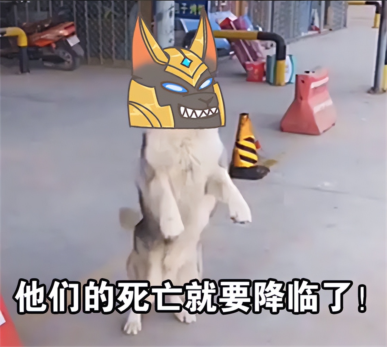 lol手游狗头鳄鱼宿敌对决,lol手游鳄鱼和狗头的彩蛋