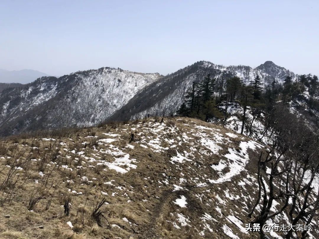 首阳山穿越大坪梁景色怎么样,大坪梁穿越到首阳山攻略