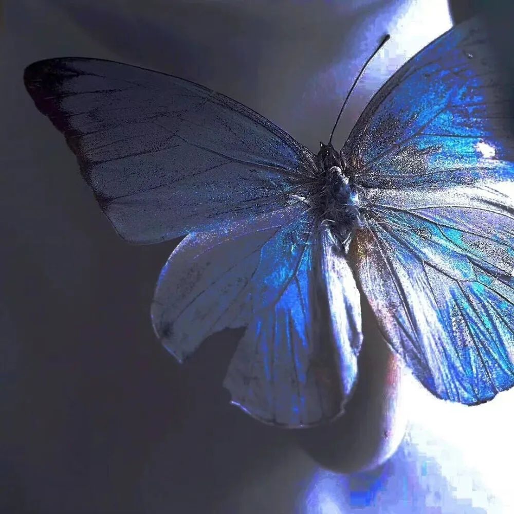 小众ins风微信背景图,微信聊天小众背景图