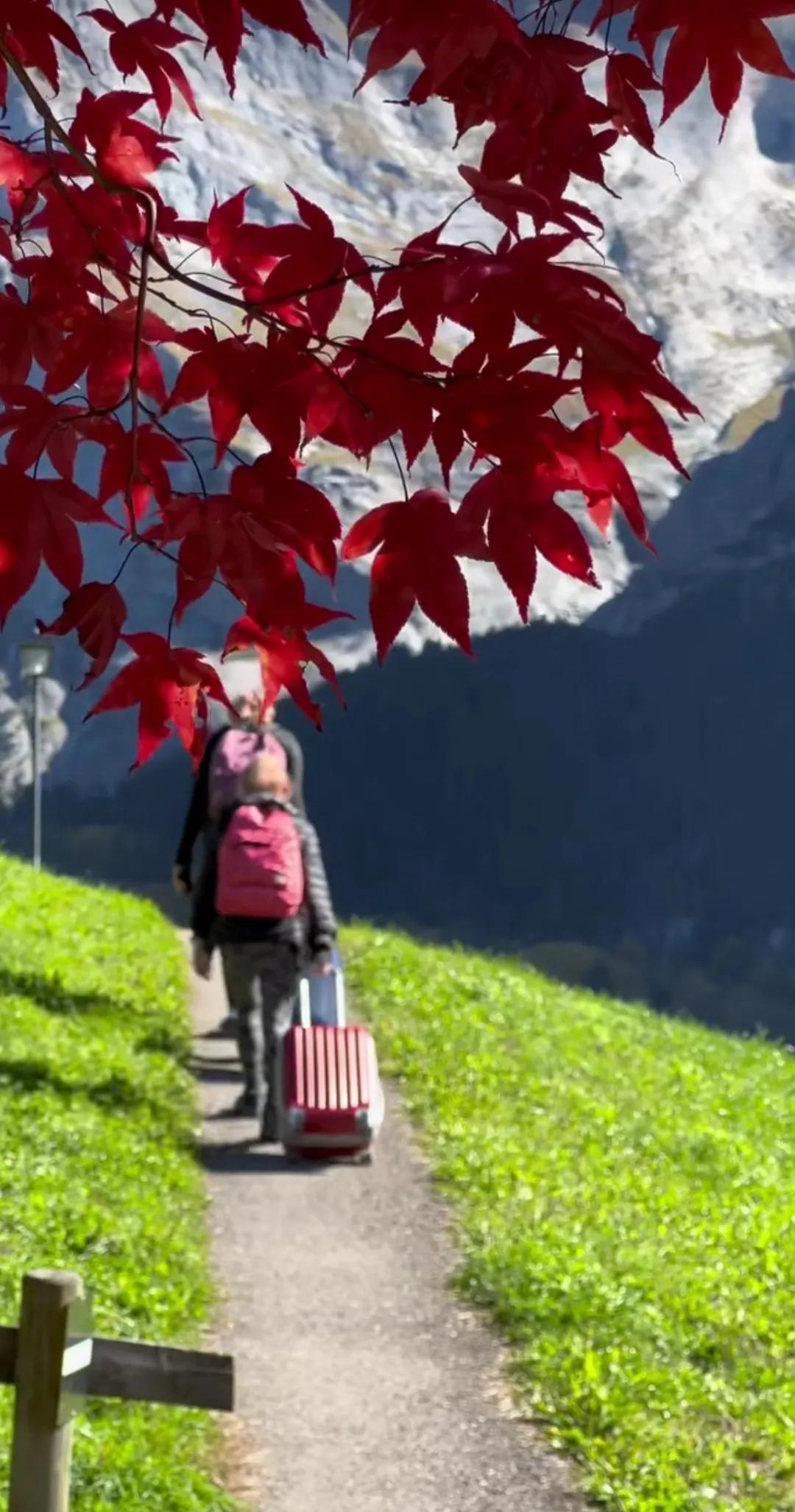 瑞士的物价和人均收入,瑞士的物价是什么水平