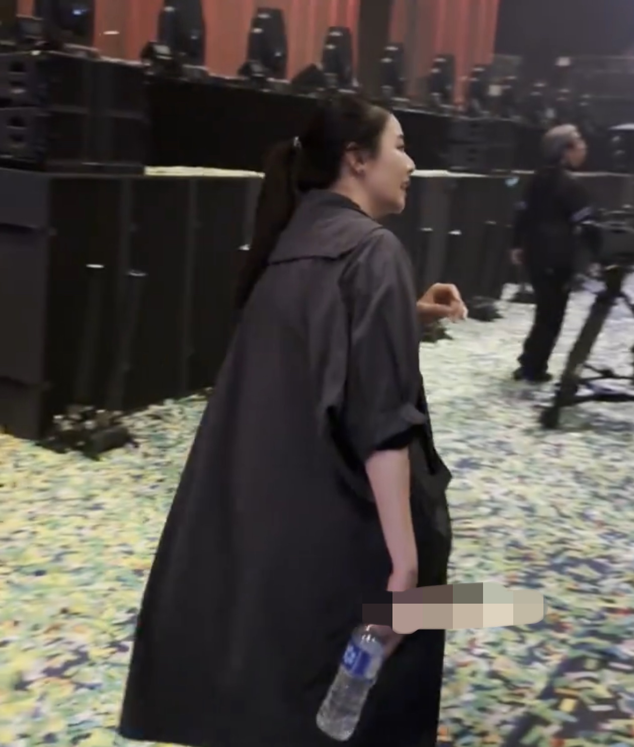 蒙嘉慧演唱会,蒙嘉慧和丈夫