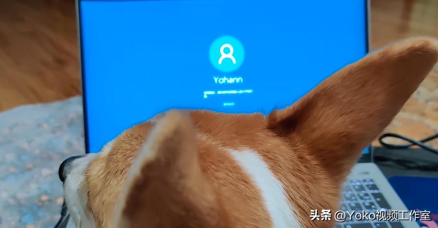 实体店买电脑有多坑,实体店买电脑怎么避开坑