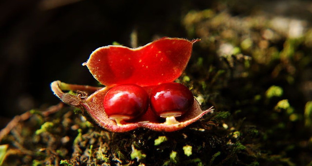 结婚三金一套真一套假,结婚三金没超过一万