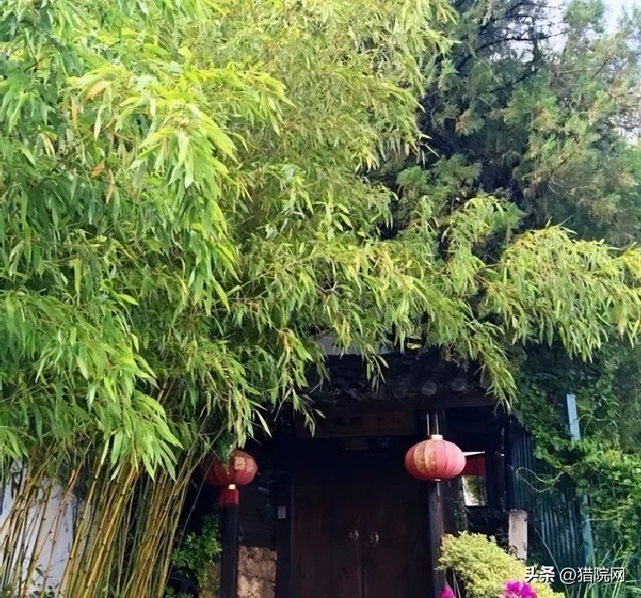 怎么租个农村院子做民宿,租个农村小院可以做什么