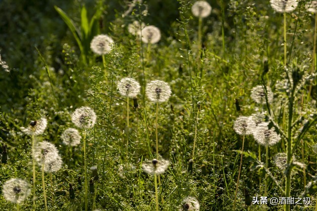 乡土小说：男欢女爱（十八）