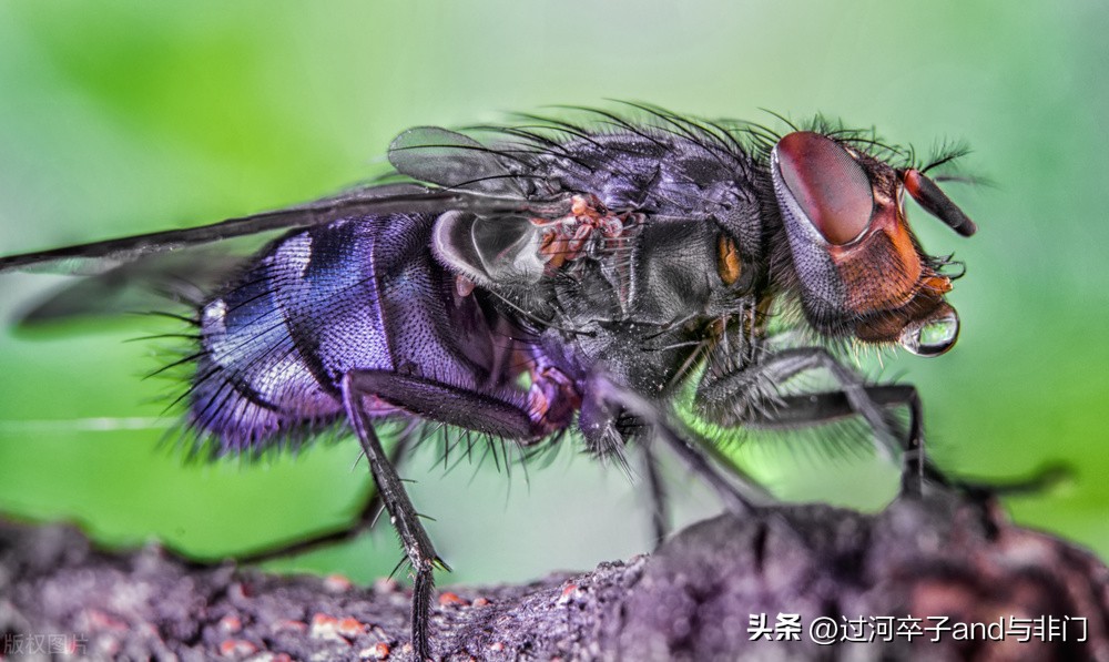 日本为何向美国返销爱国者导弹,日本向乌克兰提供导弹意味着什么