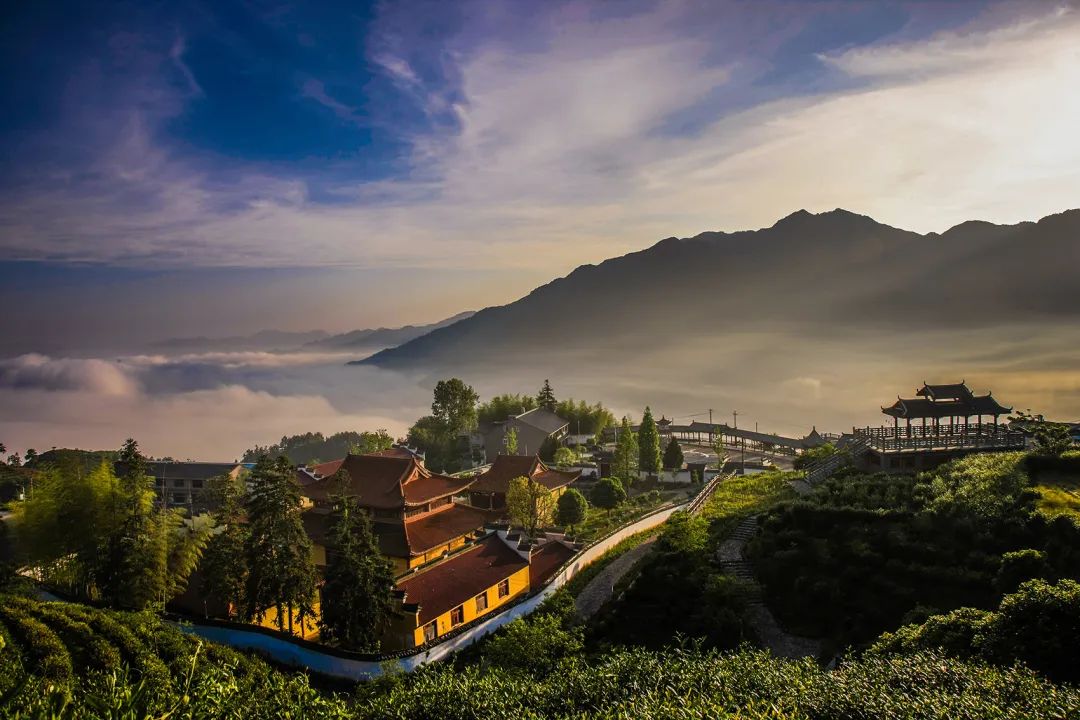 中国茶申遗成功吗,中国茶申遗成功44项名单