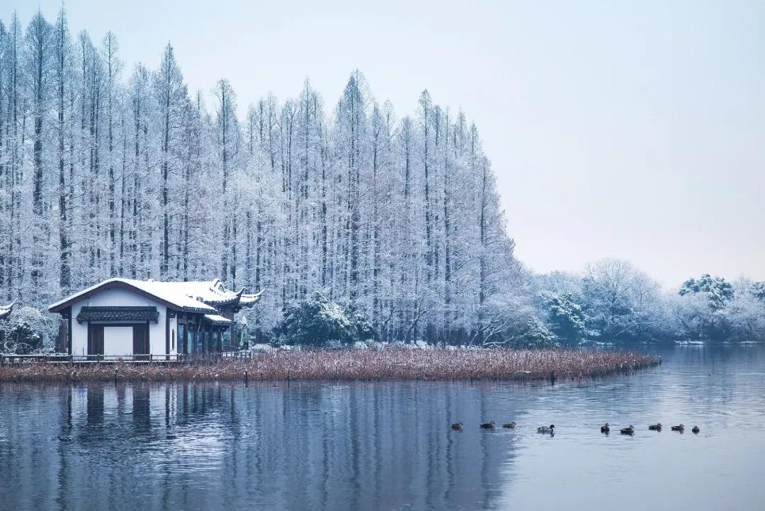 好酒在野｜大雪，去买个酒吃吧