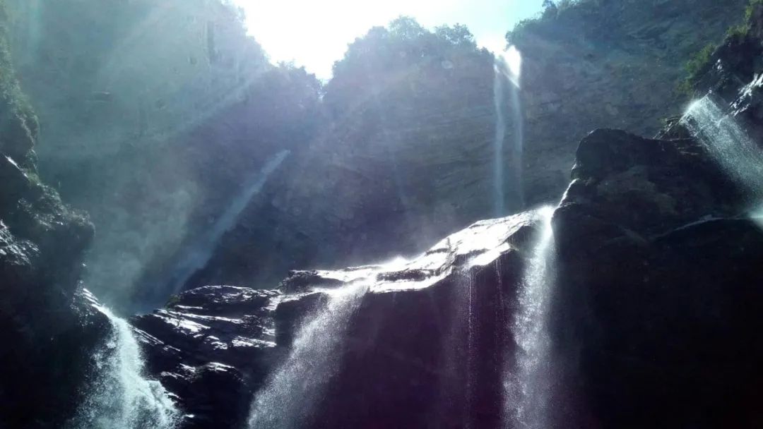 南川区金佛山旅游攻略,南川金佛山一日自驾游攻略