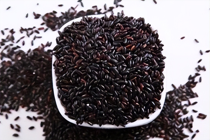 人体缺少什么营养会导致白发,缺乏哪种维生素会导致白发问题