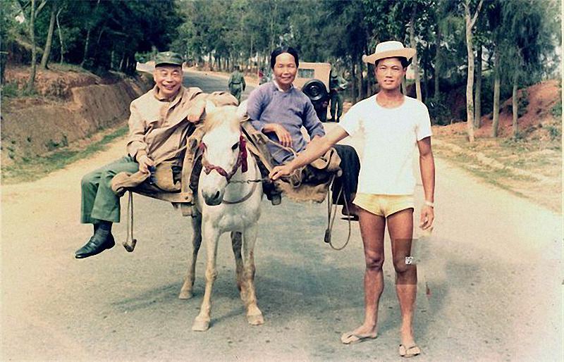 金门炮战的衍生品：100万发炮弹、6000万把菜刀和副厅局级市场