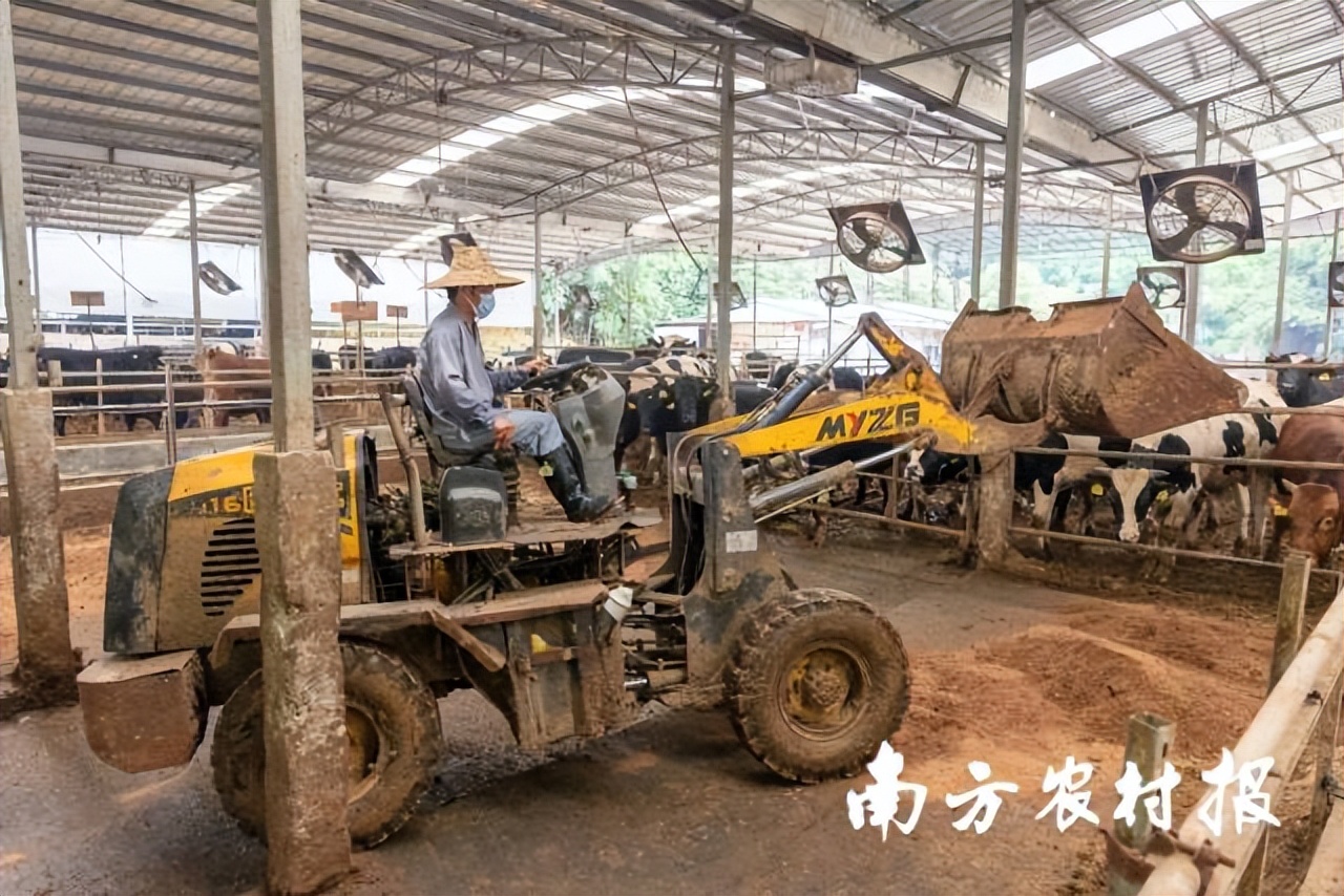 此心安处是吾乡全诗,吾心归处是吾乡议论文