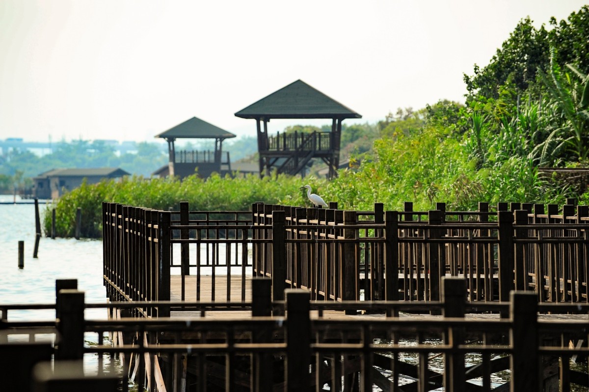 联手国贸地产！园博苑开启生活新篇章