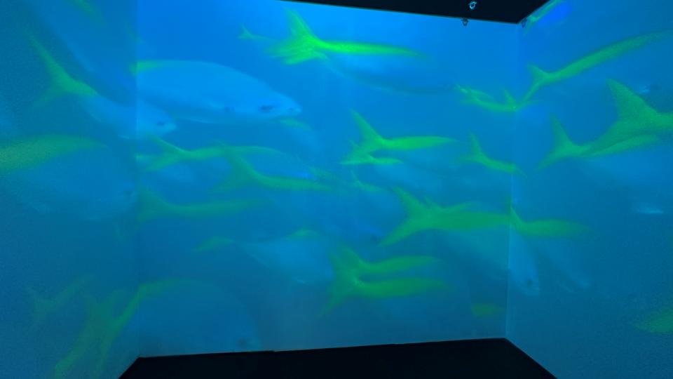 打卡文博会各大展馆,逛文博会这份攻略请收好