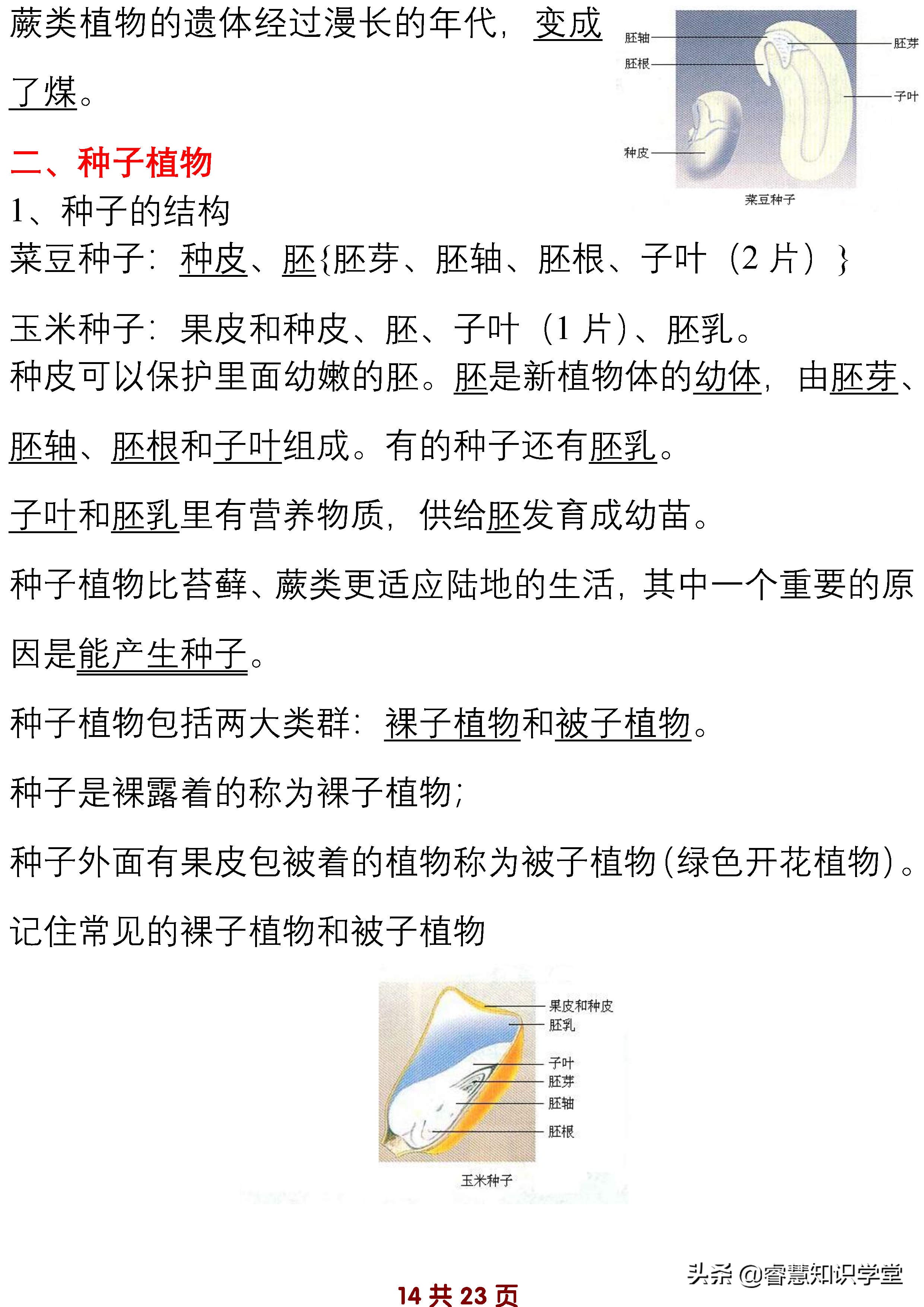 初中七年级生物知识点归纳总结,七年级上下册生物必考知识点