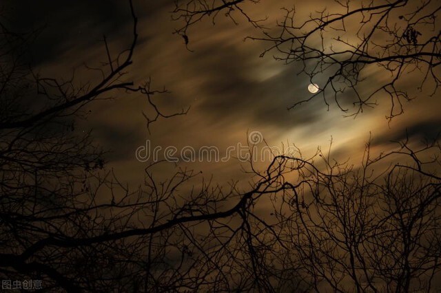 神秘的月夜,月夜的士兵恐怖片段