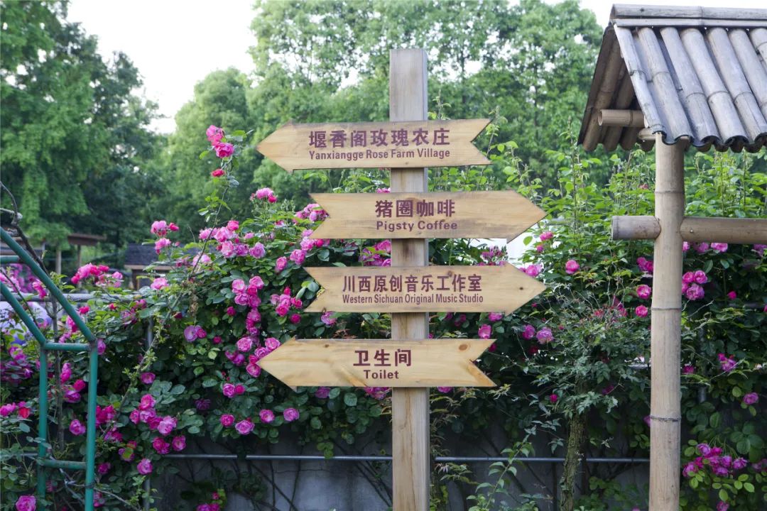 都江堰好玩的打卡地,好玩地方推荐适合带小孩都江堰