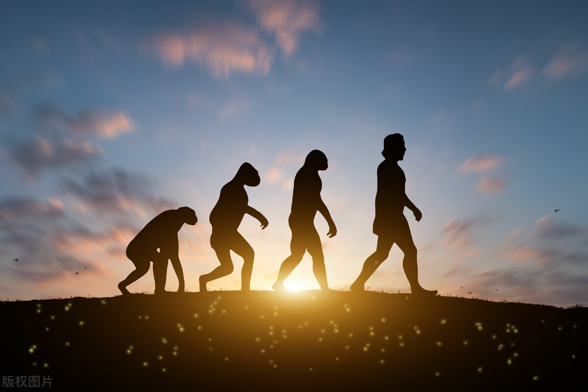 人类起源于类人猿还是古猿,人类起源之谜我们是怎么来的