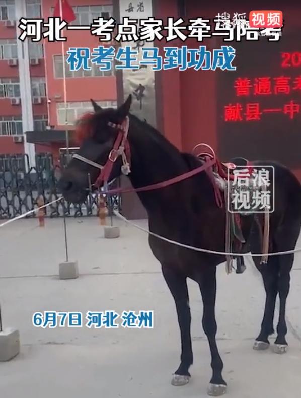 中考体育考前饮食规划,高考期间孩子吃什么有助于考试