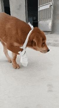 染了头发颜色不喜欢怎么办,染头发颜色不喜欢怎么办