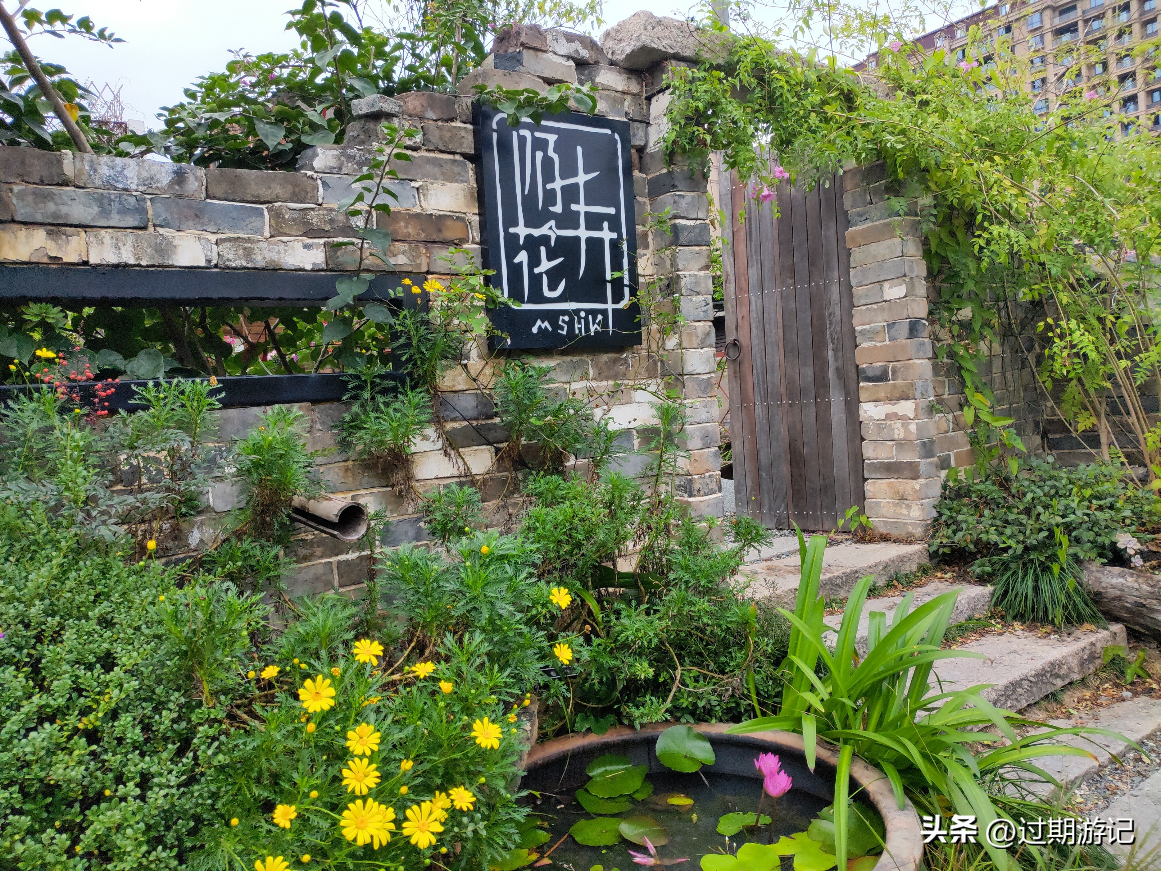 青田县旅游必买的东西,侨乡青田旅游的好选择