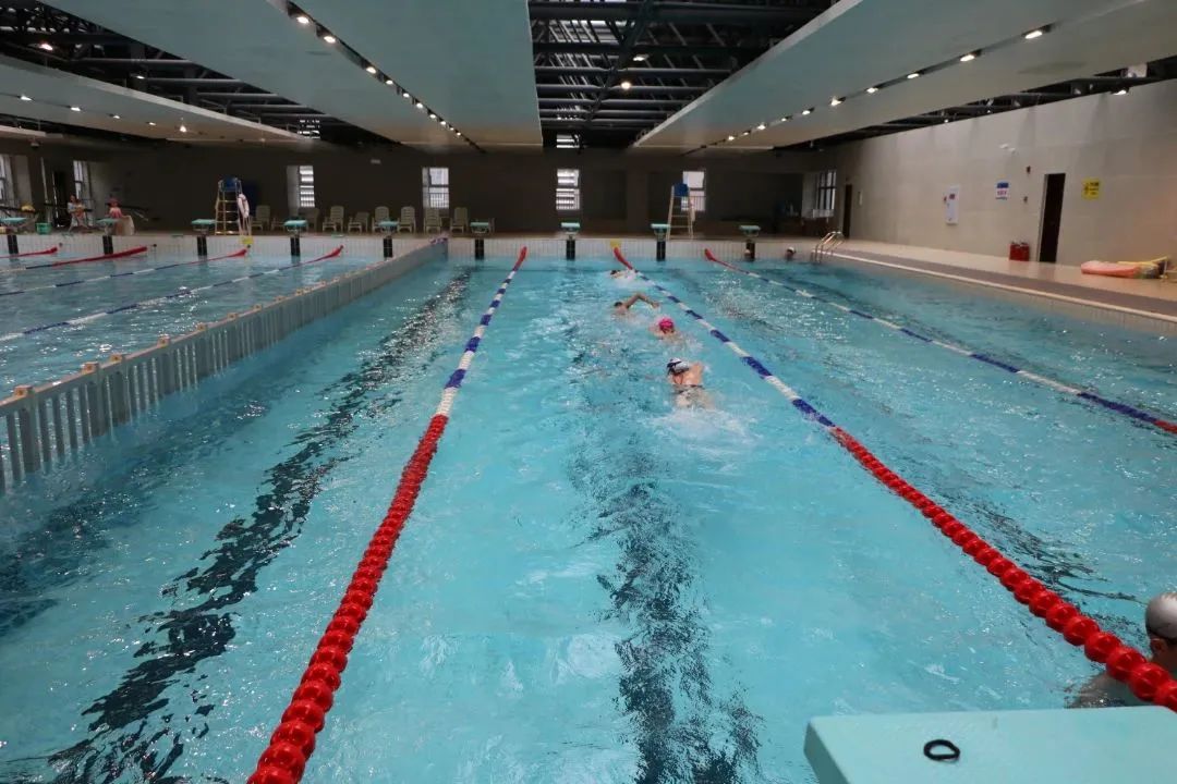 石室天府游泳馆,成都市高新区石室天府中学游泳馆