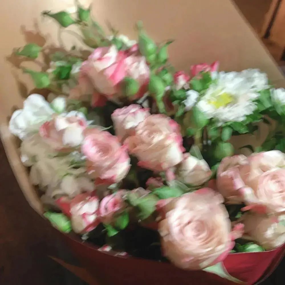 朋友圈背景送给大家,朋友圈背景送你一朵花