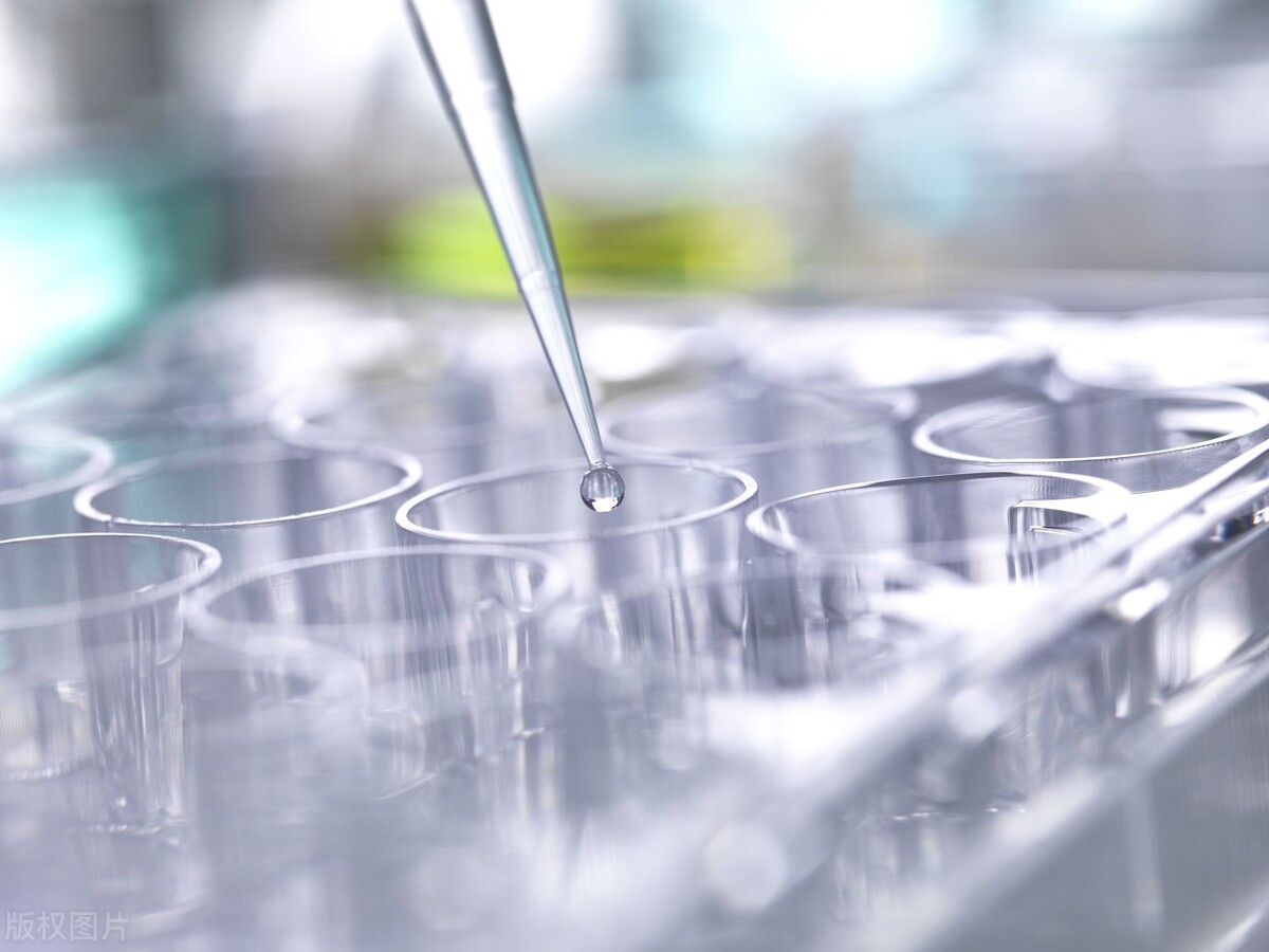 风险最大的行业有哪些,风险高回报什么行业最好