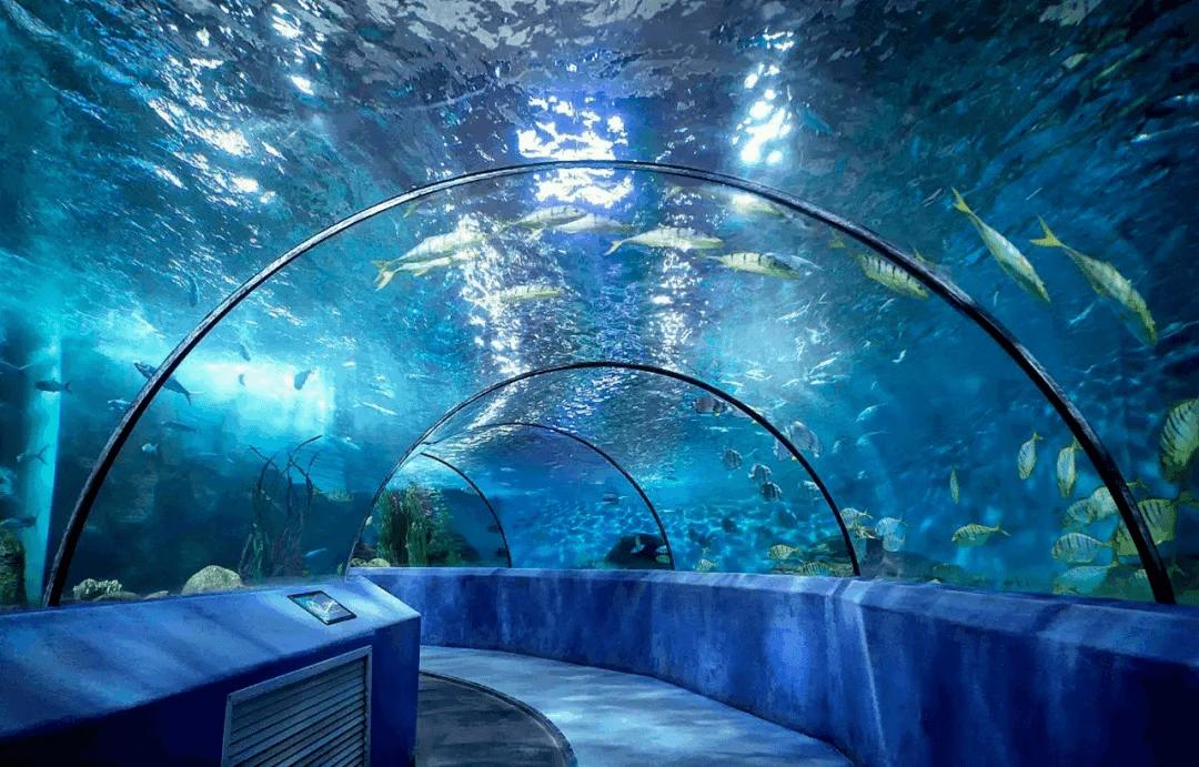 厦门游玩不被坑攻略,厦门哪里好玩又便宜