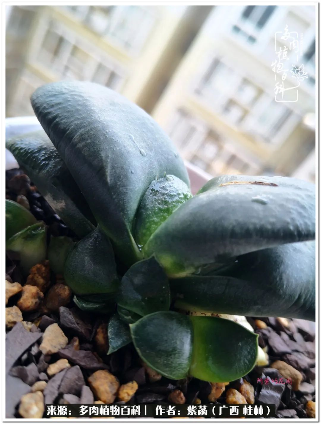 酷暑里的关爱，如十二卷般透亮绵长