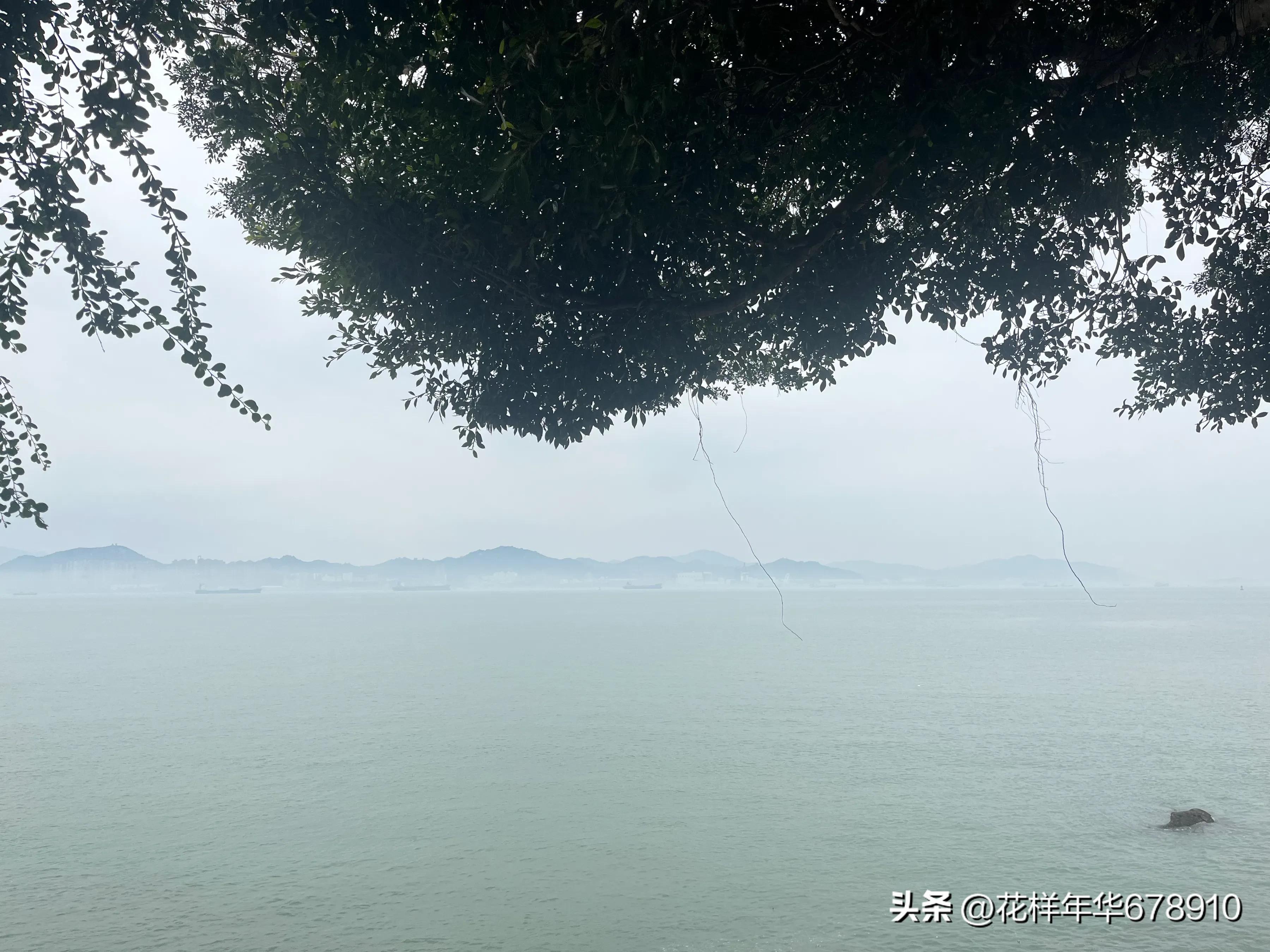 美丽的鼓浪屿鹭岛游艇夜游,美丽的厦门鼓浪屿海边沙滩风景