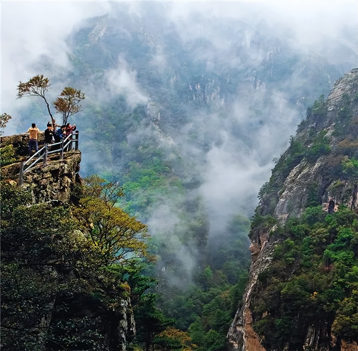 陕西牛背梁旅游景区视频,陕西牛背梁国家森林公园旅游攻略