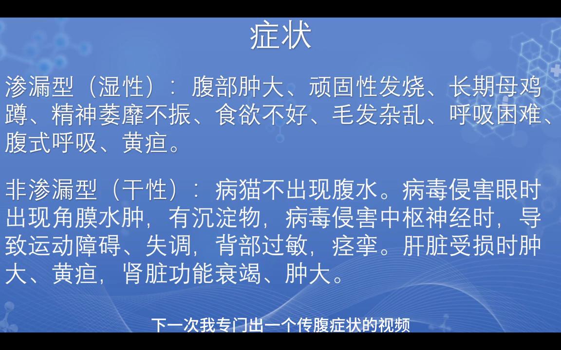 猫传染性腹膜炎和猫传腹一样吗,猫传染性腹膜炎治疗要多少钱