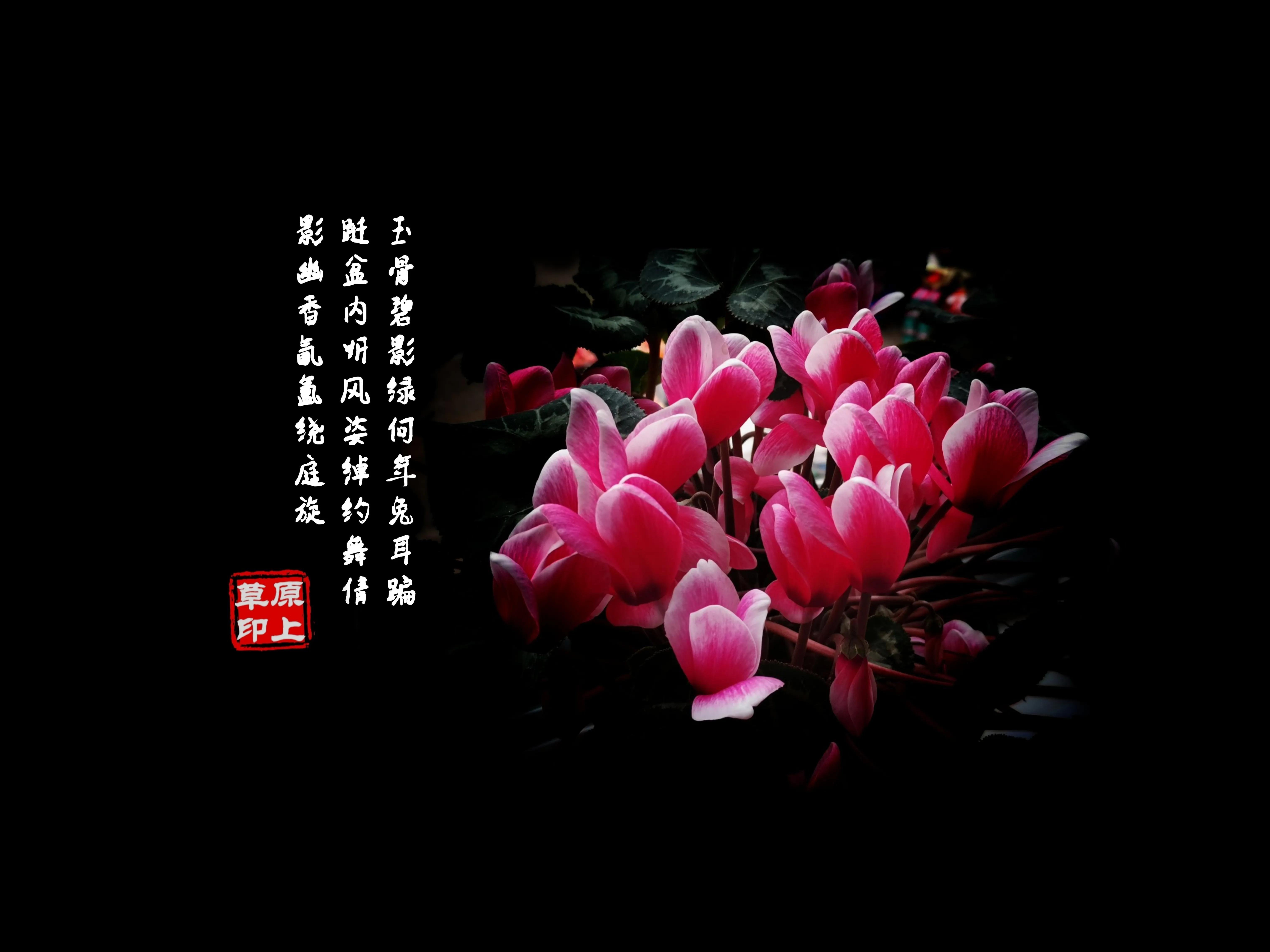 百花酿诗韵芬芳留人间（一）