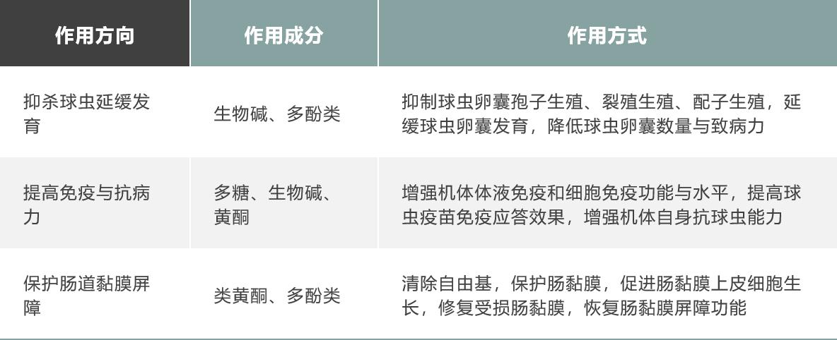 如何防治球虫不再复发,防治球虫药