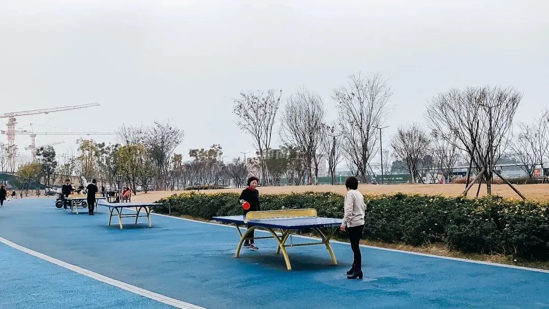 成都成华城东体育公园,成都成华体育公园