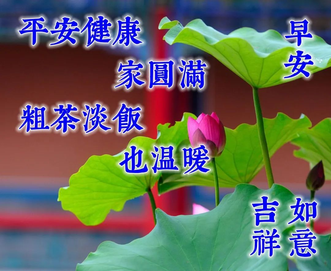 特别漂亮的早上好图片祝福问候语,早上好问候语祝福语带图片大全