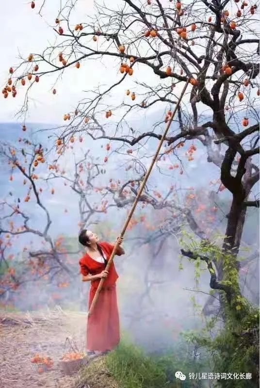 星语原创诗歌全集,星语作品全集