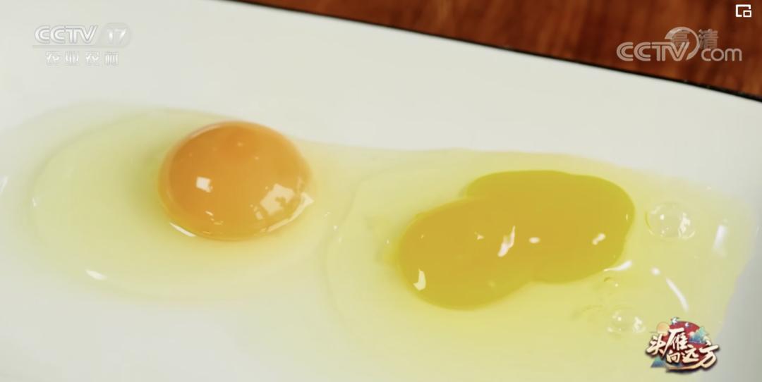 5万只鸡蛋一年能赚多少钱,一年卖1000万个鸡蛋